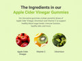 Hey Nutrition Apple Cider Vinegar Gummies - 60 Count
