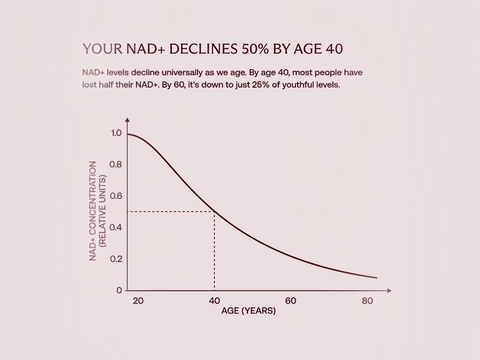 A digital infographic on a pale pink background stating 'YOUR NAD+ DECLINES 50% BY AGE 40' with explanatory text and a curved line graph showing declining NAD+ concentration relative to age from 20 to 80 years.