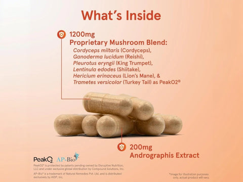 Jarrow Formulas Immune Optimizer Mushroom and Adaptogen Immune Support Supplement – 90 Veggie Capsules benefits infographic for immune system and vitality support