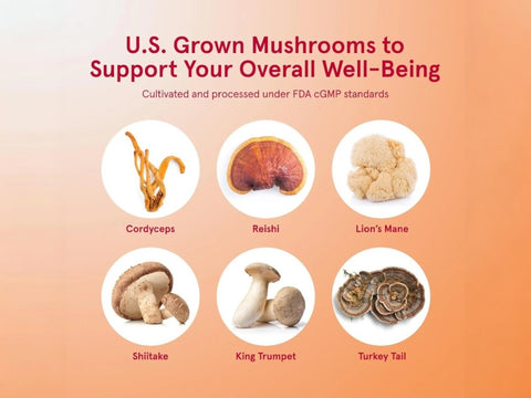 Jarrow Formulas Immune Optimizer Mushroom and Adaptogen Immune Support Supplement – 90 Veggie Capsules ingredients and product information label