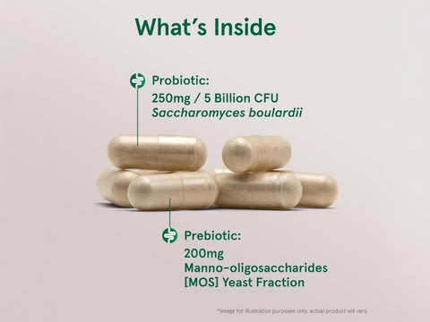Jarrow Formulas Saccharomyces Boulardii 5 Billion CFU Probiotic Yeast Supplement – 90–180 Veggie Capsules ingredients and product information label