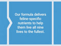Life Extension Cat Food Topper - Probiotics, Vitamins & Taurine for Cats
