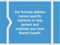 Label of Life Extension Dog Mix powder showing ingredient list and feeding guide.
