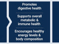 Life Extension Dog Vitamin Powder - Probiotics, Vitamins & Flaxmeal