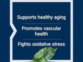 Life Extension French Maritime Pine Bark Extract 100mg