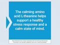 Life Extension L-Theanine 200 mg - Gluten-Free, Non-GMO, Vegetarian - 60 Caps