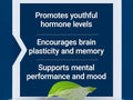 Life Extension Pregnenolone - 100mg Dietary Supplement for Wellness - 100 Capsules