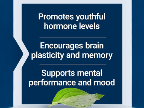 Life Extension Pregnenolone - 100mg Dietary Supplement for Wellness - 100 Capsules