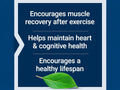Life Extension Pure Taurine 1000mg - Amino Acid Supplement