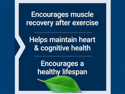 Life Extension Pure Taurine 1000mg - Amino Acid Supplement