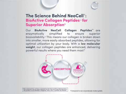 NeoCell Beauty Infusion Collagen Drink Mix key benefits graphic
