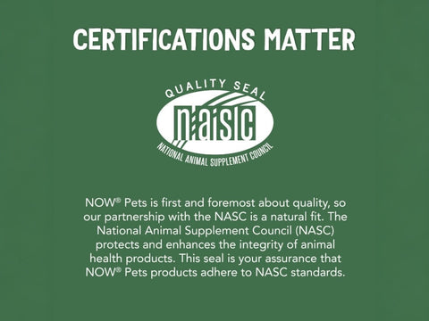 NOW Pets L-Lysine Powder for Cats Pure Amino Acid Supplement GMP certification quality assurance image