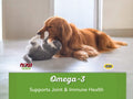 NOW Pets Omega-3 Fish Oil Softgels for Dogs & Cats - 180 Softgels