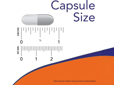 NOW Foods Urinary Tract Herbal Blend Uva Ursi Parsley and Fennel capsule size comparison chart image