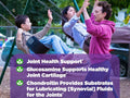 Natrol Glucosamine Chondroitin MSM Supplement