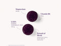 Natrol Sleep & Restore Magnesium Glycinate & GABA Gummies 
