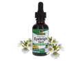 Nature’s Answer Eyebright alcohol-free herbal liquid extract 30ml bottle front label