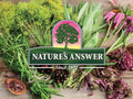 Nature's Answer Alcohol-Free Black Cohosh Root Extract 