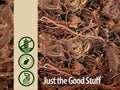 Nature's Answer Alcohol-Free Black Cohosh Root Extract - 30ml
