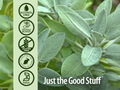 Nature's Answer Alcohol-Free Sage Leaf Extract - 30ml