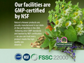 Nature's Answer Alcohol-Free Sage Leaf Extract