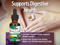 Nature's Answer Alcohol-Free Sage Leaf Extract - 30ml