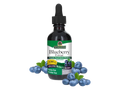Nature's Answer Blueberry Fruit Extract Alcohol-Free 60ml liquid supplement front label with blueberry