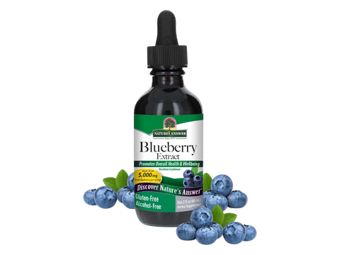Nature's Answer Blueberry Fruit Extract Alcohol-Free 60ml liquid supplement front label with blueberry
