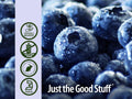 Nature's Answer Blueberry Fruit Extract Alcohol-Free - 60ml