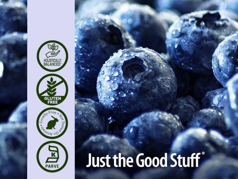 Nature's Answer Blueberry Fruit Extract Alcohol-Free - 60ml