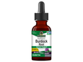 Nature’s Answer Burdock Root alcohol-free liquid extract 30ml bottle front label