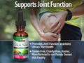 Nature’s Answer Celery Seed Liquid Extract Low Alcohol - 30ml