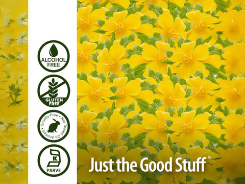Nature’s Answer Damiana Herbal Liquid Supplement - 30ml