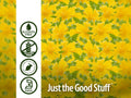 Nature’s Answer Damiana Leaf Alcohol-Free Herbal Extract 2500mg – 30ml