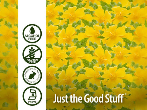 Nature’s Answer Damiana Leaf Alcohol-Free Herbal Extract 2500mg – 30ml