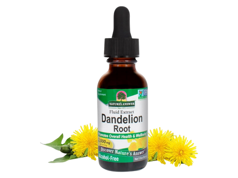 Nature’s Answer Dandelion Root alcohol-free liquid extract 30ml bottle front label