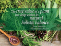 Nature’s Answer Dandelion Root Alcohol-Free Extract - 30ml