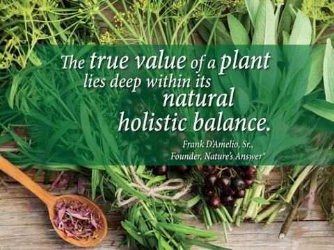 Nature’s Answer Dandelion Root Alcohol-Free Extract - 30ml