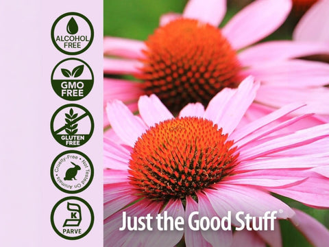 Nature's Answer Echinacea Liquid Extract Alcohol-Free