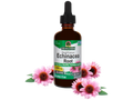 Nature's Answer Alcohol-Free Echinacea Extract 60ml liquid herbal supplement front label