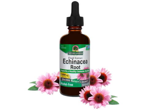 Nature's Answer Alcohol-Free Echinacea Extract 60ml liquid herbal supplement front label