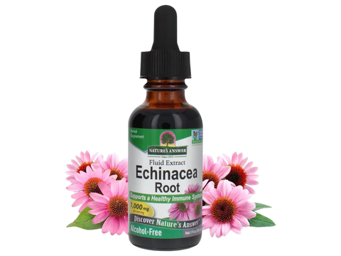 Nature's Answer Alcohol-Free Echinacea Extract 30ml liquid herbal supplement front label
