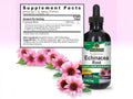 Nature’s Answer Echinacea Root supplement facts alcohol free 120ml back label on a pink background