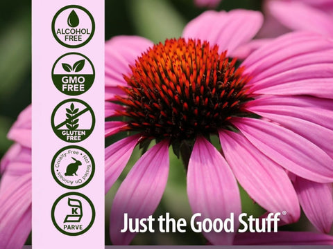 Nature’s Answer Echinacea Root Alcohol-Free Herbal Extract – 120ml