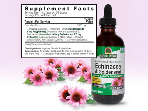 Nature’s Answer Echinacea Goldenseal supplement facts alcohol free 120ml back label on a light purple background