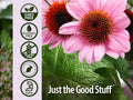 Nature’s Answer Echinacea & Goldenseal Alcohol-Free Herbal Extract 120ml