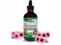 Nature’s Answer Echinacea and Goldenseal alcohol free liquid extract 120ml bottle front view on a white background