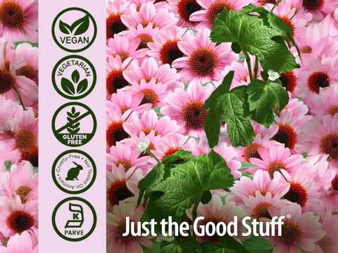 Nature’s Answer Echinacea & Goldenseal Vegetarian Capsules – 60 Count