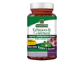 Nature’s Answer Echinacea and Goldenseal vegetarian capsules 90 count bottle front view