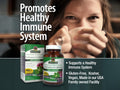 Nature’s Answer Echinacea & Goldenseal Vegetarian Capsules – 90 Count